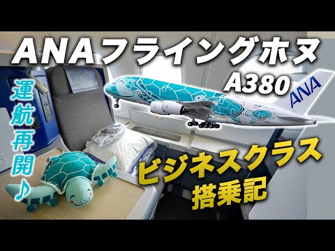 空飛ぶウミガメ！ANAフライングホヌ✈️ビジネスクラス搭乗記｜ホノルル→成田