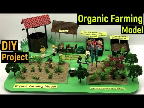 organic farming model - organic farming project - organic farming - diyas funplay