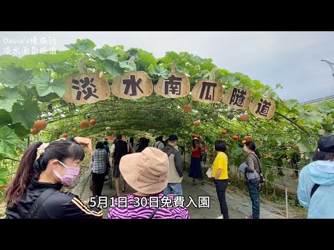 2023淡水南瓜隧道｜免費參觀