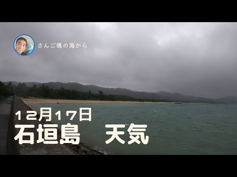 【石垣島天気】12月17日9時ごろ。15秒でわかる今日の石垣島の様子。