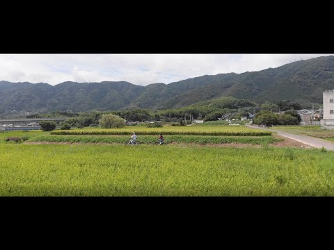 京都自転車観光ガイド西山編）