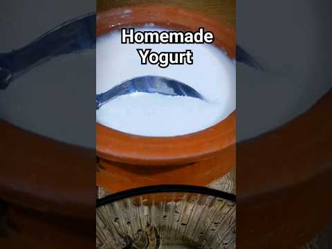 Homemade Yogurt For Ramadan Kareem #shorts #ramzanspecial #ramadanrecipe #ramadan