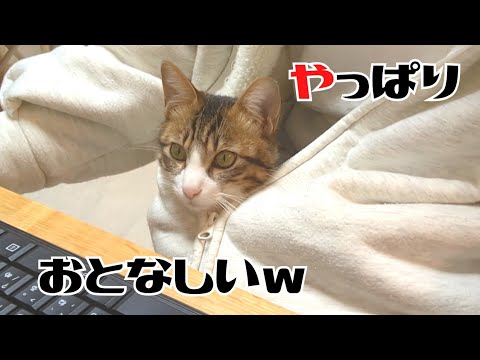 甘えん坊の猫をパーカーに閉じ込めたらかわいすぎましたw