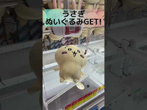 【ちいかわ】うさぎのぬいぐるみGETしたったwww#ufoキャッチャー #クレーンゲーム #ゲーセン #ゲームセンター #ちいかわ #ちいかわグッズ #うさぎ