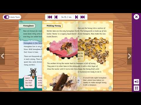 Level 6c Reading Scheme Book Bees Are Brilliant