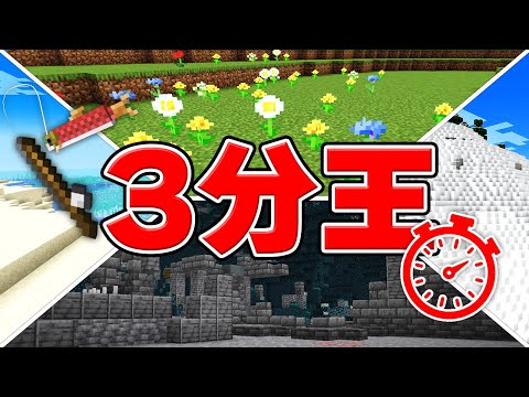 3分王！！【マイクラ】