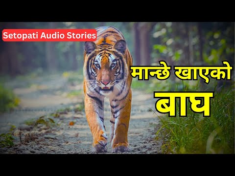 मान्छे खाएको बाघको कथा || Setopati Audio Story || Rajesh Ghimire || Sudeep Shrestha ||