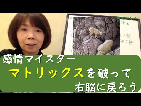 感情マイスター　マトリックスを破って右脳に戻ろう｜養生大学