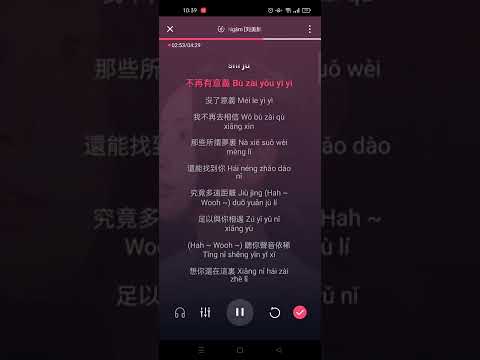 Ngâm - Lưu Mỹ Lân || 吟 [刘美麟] Karaoke Pinyin