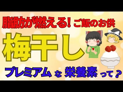 日本のごはんのお供、梅干し！脂肪燃焼成分が入っていた！古くから重宝されてきた食品の、とんでもない栄養価って【ゆっくり解説】