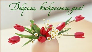 Хорошего ВОСКРЕСНОГО денька! Музыкальная открытка