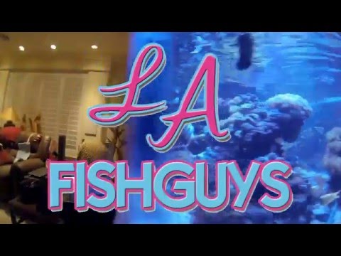 Setting up my 180 gallon Glass Coral Reef Tank, LA Fishguys Episode 151 part 1