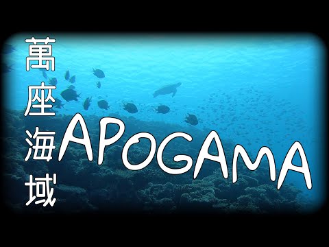 「沖繩潛水」萬座海域《APOGAMA》休閒潛水FUN DIVE、秘境潛點