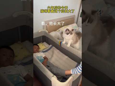 猫：这娃我带大的，羡慕吧