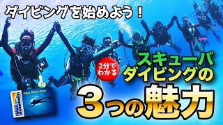 2分で解説！スキューバダイビングの3つの魅力