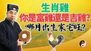 生肖雞，你是富雞還是吉雞？7個農曆月份出生能夠家宅興旺、福祿雙全？屬雞人必看！ #2025年生肖雞運勢 #2025年生肖雞運程 #2025年屬雞運勢 #2025年屬雞運程