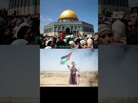 Palestine Support Status|Pray for Palestine Status|Palestine People Stand|