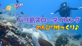 【バリ島ダイビング】ゆっくりのんびりでいいですよ♪リピーターⅠさんとバリ島スローダイブinAMED♪ @jellyfishbali