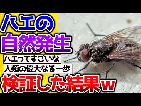 【2ch動物スレ】ハエの自然発生を実験してみた結果→先人の実験について何Ｊ民が議論する。 #昆虫 #生き物