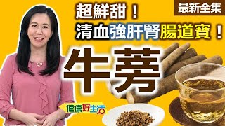 健康好生活  20240327  巧吃「牛蒡」超鮮甜！清血強肝腎「腸道寶」！