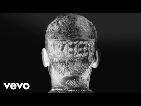 Chris Brown - Hate Being Human (Audio)