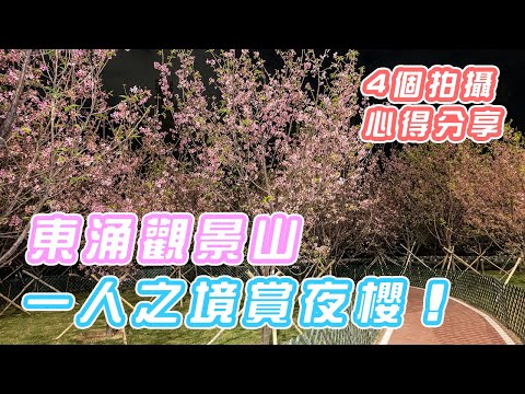 【東涌櫻花】一人之境賞夜櫻！| 4個拍攝心得分享 | 想去拍攝夜櫻，先睇一睇 | 花見 | 廣州櫻 | Nikon Zfc