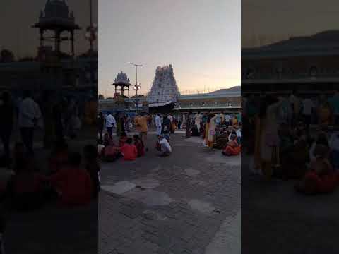 Sri Tirumala Venkateswara Swamy Temple #Shorts