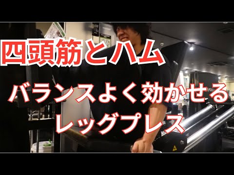 レッグプレスでバランスよく脚を鍛えろ！僕流のレッグプレス解説！#脚トレ