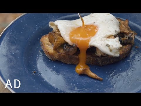 Foraged Mushrooms on Toast - lets take it back to the beginning | John Quilter