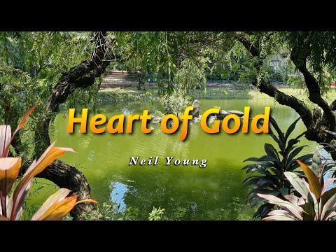 HEART OF GOLD - (Karaoke Version) - in the style of Neil Young