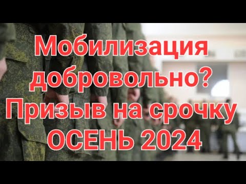 МОБИЛИЗАЦИЯ добровольно? Начинается призыв в АРМИЮ. Эфир.