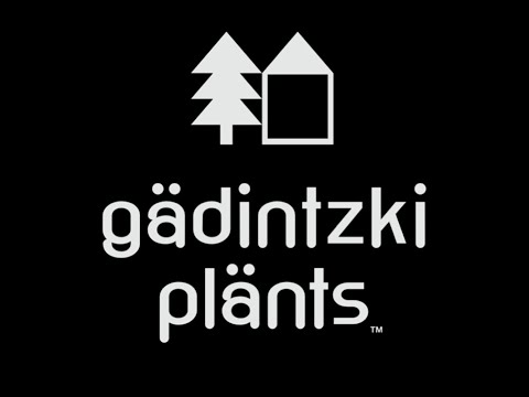 gadintzki plants