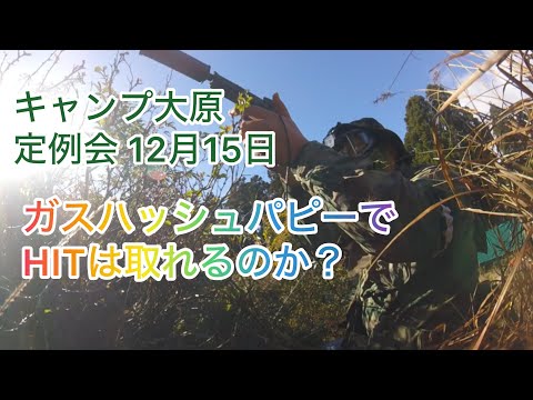 ガスハッシュパピーでHITは取れるのか？ 2024年12月15日