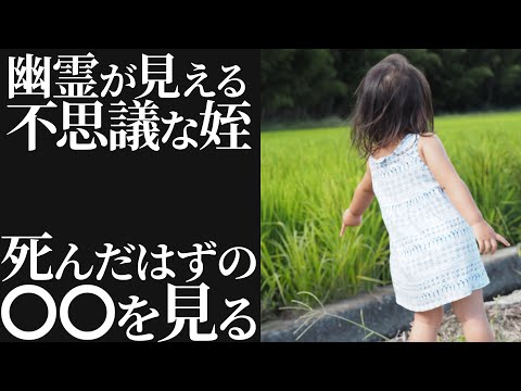 【不思議な話】「お化けが見える」という甥っ子。ある日家に来た時に→「なんでこんなに猫がいるの？」猫は飼ってないのに…【朗読】