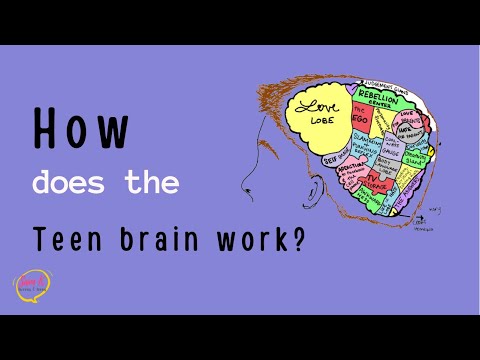 Puberty for Girls and Boys 🧠 How does the Teenage BRAIN work?