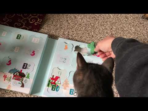 Ep123 Happy Sunday! Advent Calendar for Dogs! A treat for our German Shepherd