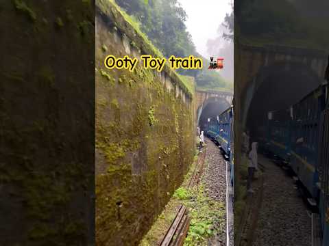 Heavenly Journey Of Ooty Toy Train 🚂