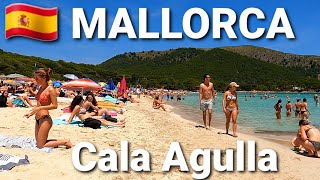 🇪🇦BEACH WALK Cala Agulla 🏖 MALLORCA 🏝 June 2023 SPAIN 🌍 4K