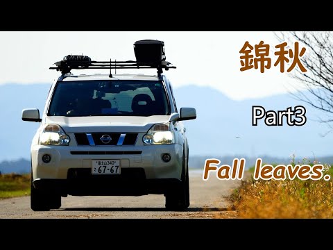 錦秋　ｴｸｽﾄﾚｲﾙ車中泊ｷｬﾝﾌﾟ　パート3【fall　leaves. X-trail carcamping　part3】