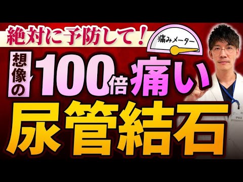 【尿管結石・尿路結石】将来後悔しないための予防法・症状・検査・治療法まで専門医が徹底解説！