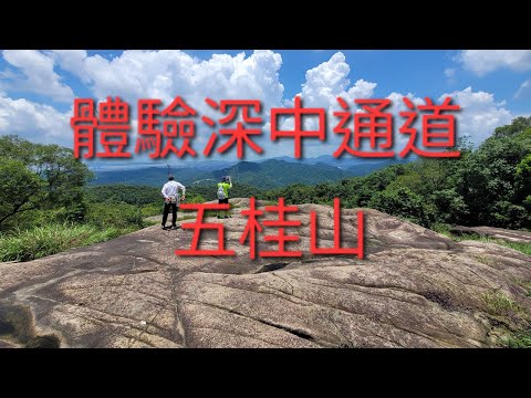 7月8號（星期一）體驗深中通道 中山五桂山