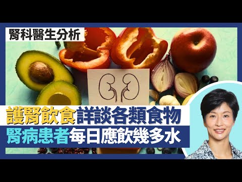 腎病健康飲食指南｜減蛋白質攝取助延遲洗腎 但低蛋白飲食要小心！腎病患者每日應飲幾多水 病情初期多水可護腎？飲食最重要控制3大要素 詳談各類食物飲品建議！｜王建芳醫生 腎科醫生葉逸軒醫生｜人類健康研究所