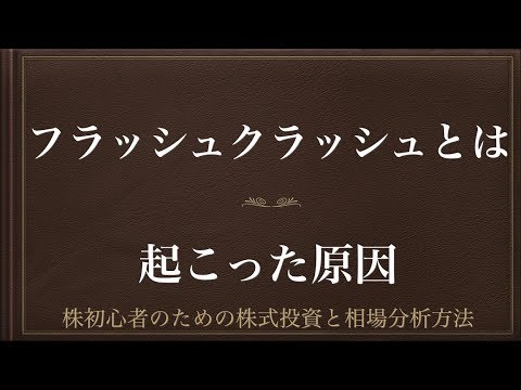 [動画で解説] フラッシュクラッシュとは（起こった原因）