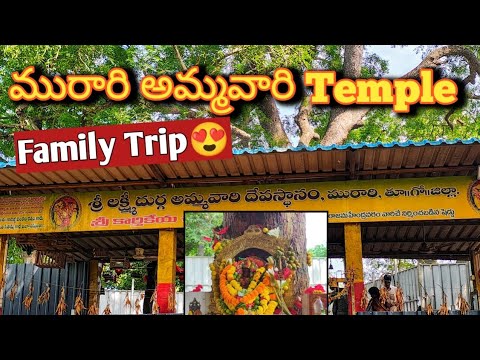 మురారి లో అమ్మవారి గుడి🙏 || Family trip😍 #murari #familytrip #ammavaritemple #family #sadhwikaneeli