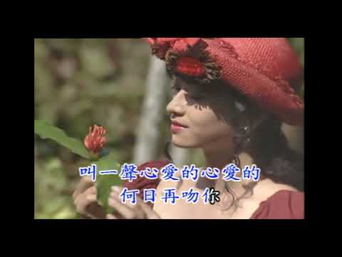 [KTV] 崔苔菁 - 何日再吻君 [純伴奏] 1080P