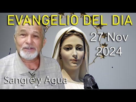 Evangelio Del Dia Hoy - Miercoles 27 Noviembre 2024- Sangre y Agua