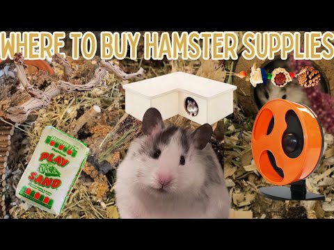 Where I Get ALL My Hamster Supplies 🐹🌾 // collab with @TheHamsterRoom