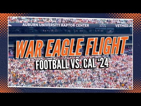 War Eagle Flight | Auburn Football vs. Cal 2024 | 4K Replay