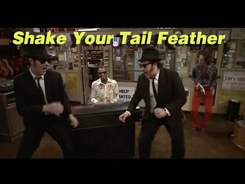 Shake Your Tail Feather - Ray Charles, Jake & Elwood (영화 The Blues Brothers 중에서)