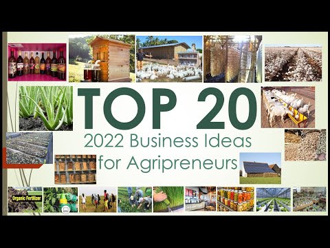 TOP 20 2022 Business Ideas for Agripreneurs